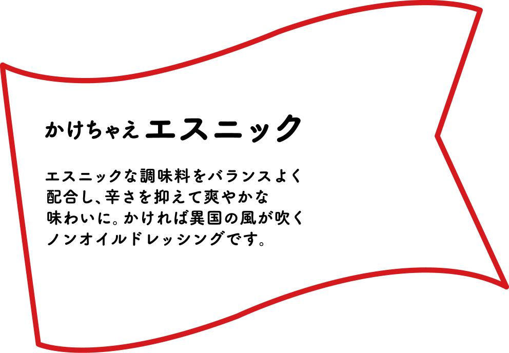 リケンのノンオイル かけちゃえエスニック